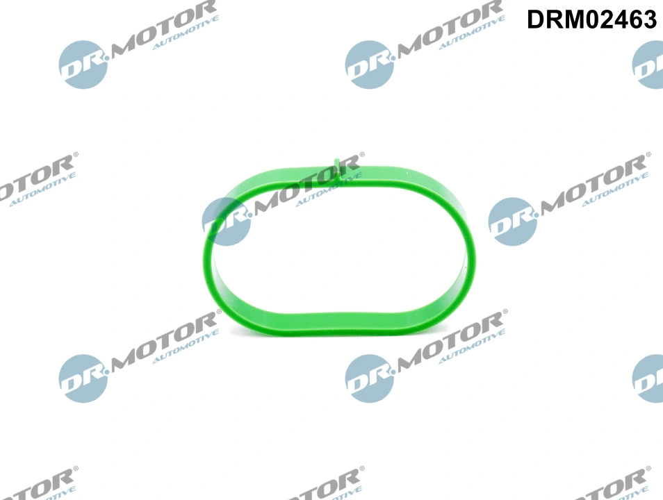 Gasket, intake manifold